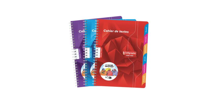 Texte Ganzleinenbindung 7000 17x22 cm 148 Seiten große Karos 70 g - Sortiert