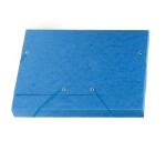 Folder 3 Flap Elastic A4 Max Cap L