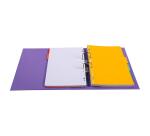 Registratore a leva PVC A4 dorso de 70mm - A4