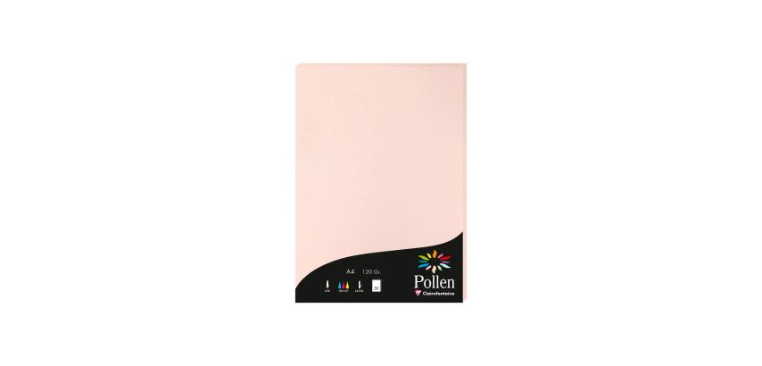 Etui de 50 feuilles Pollen 210x297mm 120g/m2 - Opaline