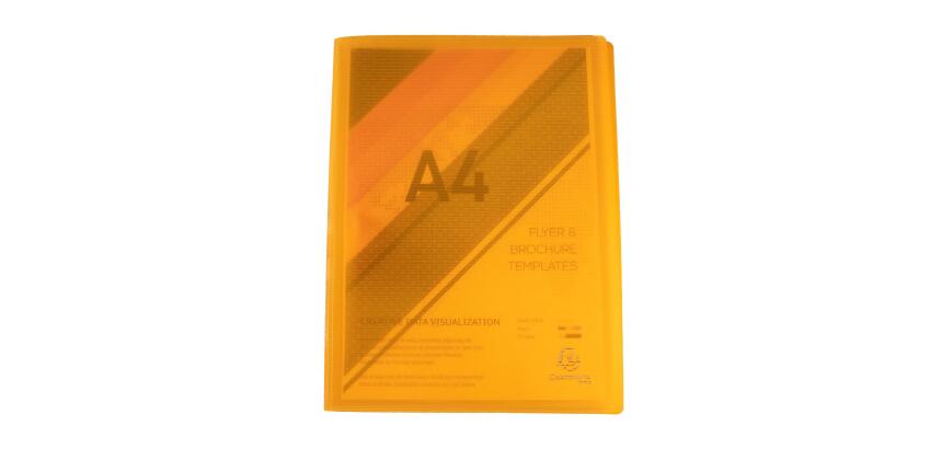 Display Book PP Welded Linicolor, A4 - Assorted colours