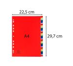 Intercalaires imprimés numériques PP couleurs 31 positions - A4 - Couleurs assorties
