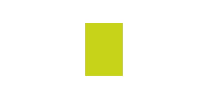 * Pochette 3 Feuilles Identiques Ref 295 - Vert