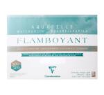 Flamboyant bloc collé 4 côtés 20F 36x51cm 300g