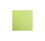 Maya rame 25F A3 185g - Vert mousse