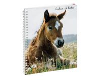 Cahier de textes Animaux Cheval 17 x 22 cm - Visuels assortis
