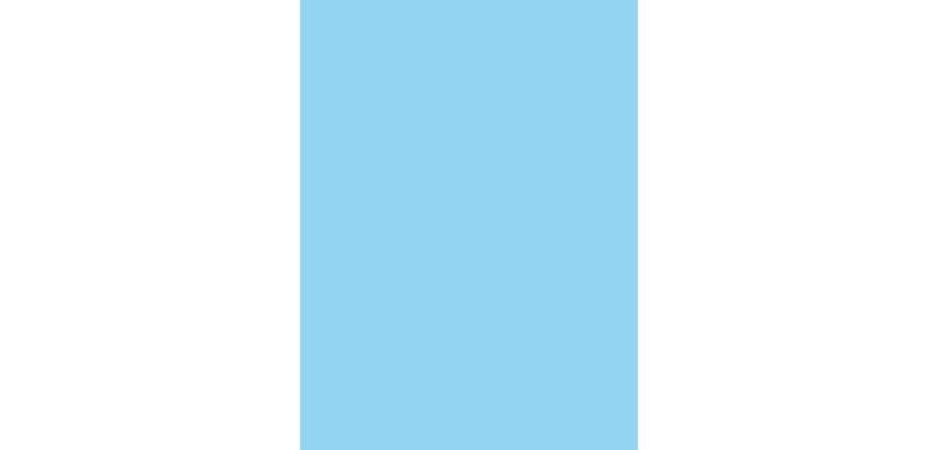 PAPIER AFFICHE PEINTE, Paquet de 25 feuilles 90g/m2 au format 60x80cm