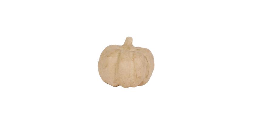 Pompoen 6,5 cm - Kraft