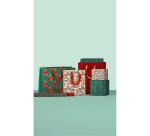 Excellia 80g, Fancy Xmas 2x0,70m 30rlx - Assortiment