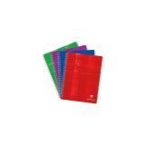 Répertoire libre reliure intégrale 17x22cm 120 pages petits carreaux Couleur aléatoire - Assortis