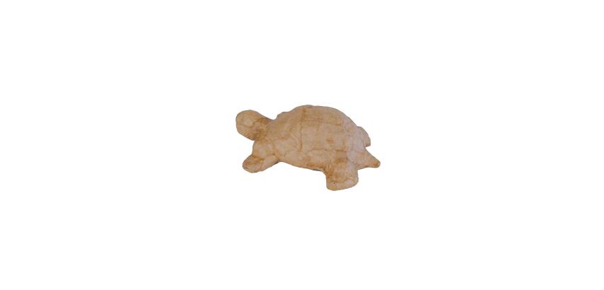 Tortue 3,5cm - Kraft