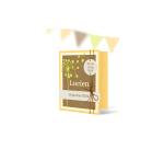 PAPIER UNI, Pochette de 5 feuilles 210g/m2 au format 30.5x30.5cm - Assortiment
