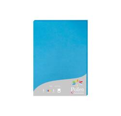 Etui de 25 feuilles Pollen 210x297 210g/m2