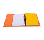 Registratore a leva PVC A4 dorso de 50mm - A4