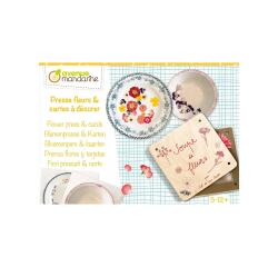 Boîte créative, Pressefleurs et cartes postales à décorer - Multicolore