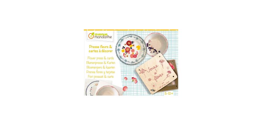 Creative box, flower presses and postcards to decorate - Multicolour