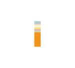 Pk 100 Filing Strips 105x240 Ast - Assorted colours