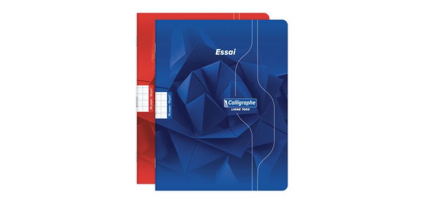 7000, Stapled notebook 17x22cm 48sh séyès 56g - Assortment
