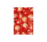 * Pochette 3 Feuilles Identiques Ref 491 - Rouge