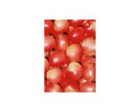 * Pochette 3 Feuilles Identiques Ref 491 - Rouge