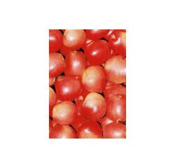 Décopatch 3 identieke bladen - ref 491. - Rood