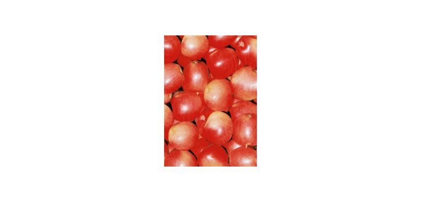 Décopatch 3 identieke bladen - ref 491. - Rood