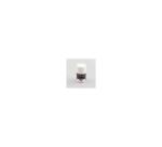 CERNIT - Colored Pearlescent Effect Powder - Purple - Can be mixed - 5g jar - CE6110005900C - Purple