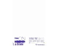 Paint'ON à grain paquet 10F 50x65cm 250g