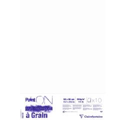 Paint'ON à grain paquet 10F 50x65cm 250g