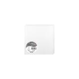 Paquet de 25 cartes pliées Pollen 135x135mm 210g/m² - Blanc irisé