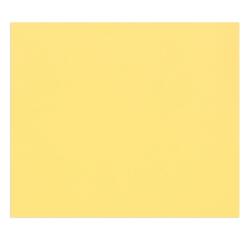 Tulipe rame 50F 50x65cm 160g
