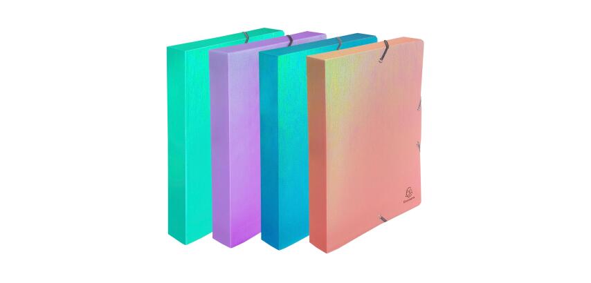 Boite de classement à élastiques dos 40mm PP Candy Tidy - Couleurs assorties