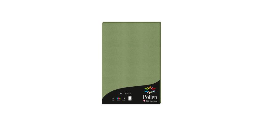 Etui de 50 feuilles Pollen 210x297 120g/m2 - Vert sauge