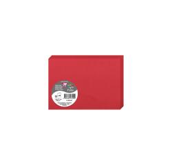 Paquet de 25 cartes pliées Pollen 110x155mm 210g/m2