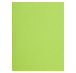 Paquete de 100 Subcarpetas Exacompta Flash 220 g/m2