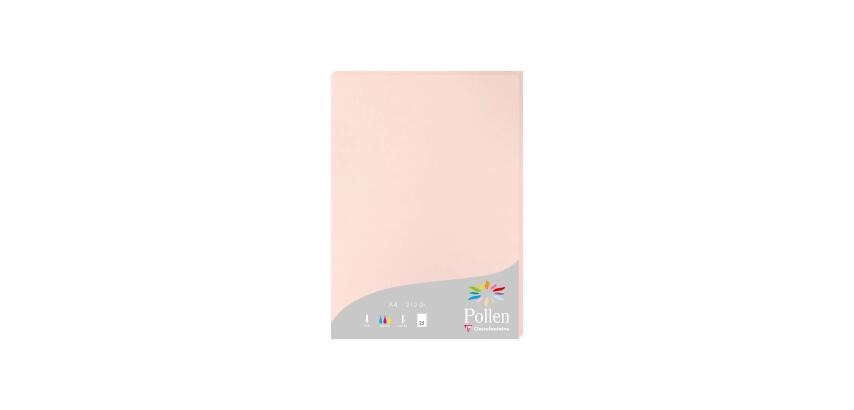 Etui de 25 feuilles Pollen 210x297mm 210g/m2 - Opaline