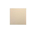 Etival Color® , Zeichenpapier A3 160g, Packung mit 25 Bogen - Zitronenmelisse