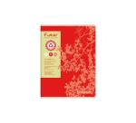 Cahier piqué FOREVER 24x32 cm 96 pages grands carreaux 70 g - Assortis