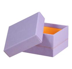 Rhodiarama set 5 boîtes gigognes simili cuir italien 44x34x16 cm - Iris