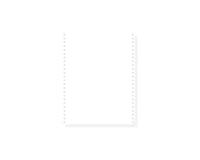 "1000 feuilles de listing autocopiantes blanc 240x12"" 2plis microperforations 4 côtés Bandes Caroll Détachables" - Blanc