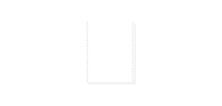 "1000 feuilles de listing autocopiantes blanc 240x12"" 2plis microperforations 4 côtés Bandes Caroll Détachables" - Blanc