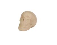Crâne 12cm - Kraft