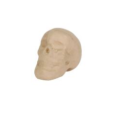 Crâne 12cm - Kraft