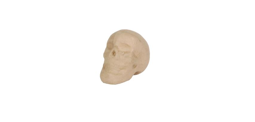 Crâne 12cm - Kraft
