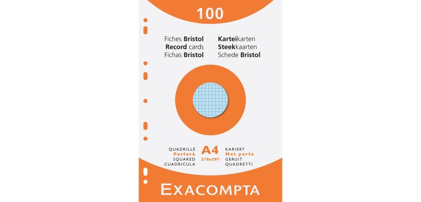Karteikarten 210x297 kar perf ass 100St - Farben sortiert