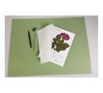 Clairefontaine Herbarium Spiral Notebook - 21 x 21cm - 32 Sheets - 180gsm