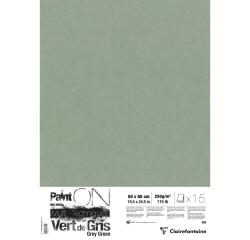 PaintOn Verdigris pak van 15 blad 50x65cm 250g