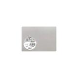 Paquet de 25 cartes simples Pollen 110x155mm 210g/m2 - Argent
