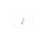 COLLECTION EUCALYPTUS, Paquet de 20 enveloppes imprimées Pollen 114x162mm 120g/m2 - Rose 1 - Rose