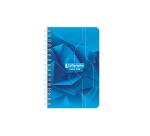 Carnet reliure intégrale 7000 9x14 cm 100 pages petits carreaux 70 g - Assortis